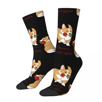 Носки для собак Корги Мужские Женские Весенние чулки в стиле Хип-хоп